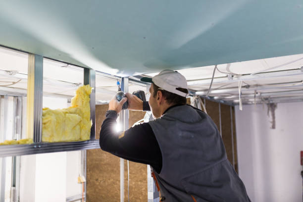 Best Spray Foam Insulation  in Ata, OK